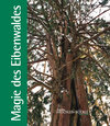 Buchcover Magie des Eibenwaldes