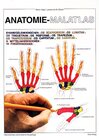 Buchcover Anatomie-Malatlas