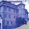 Buchcover Denkmalpflege in Mittelfranken 2004