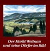 Buchcover Der Markt Weitnau und seine Dörfer im Bild