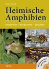 Buchcover Heimische Amphibien