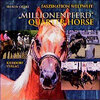 Buchcover Millionenpferd QuarterHorse