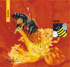 Buchcover Das kreative Sachbuch "Biene"