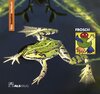 Buchcover Das kreative Sachbuch "Frosch"