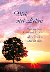 Buchcover Viel, viel Leben