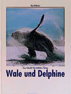 Buchcover Wale und Delphine