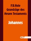 Buchcover Grundzüge des Neuen Testaments - Johannes