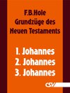 Buchcover Grundzüge des Neuen Testaments - 1., 2. & 3. Johannes