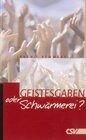 Buchcover Geistesgaben oder Schwärmerei?