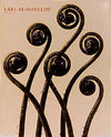 Buchcover Karl Blossfeldt /Fotografie