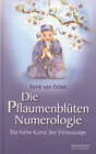 Buchcover Die Pflaumenblüten Numerologie