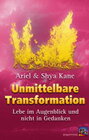 Buchcover Unmittelbare Transformation