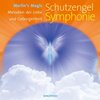 Buchcover Schutzengel Symphonie