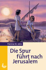 Buchcover Die Spur führt nach Jerusalem