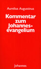 Buchcover Kommentar zum Johannesevangelium