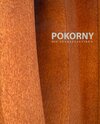 Buchcover Pokorny - Die Stahlplastiken