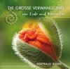 Buchcover Die große Verwandlung von Erde und Menschen