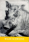 Buchcover Wilde Schweine