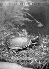 Buchcover Die Europäische Sumpfschildkröte
