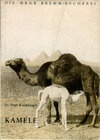Buchcover Kamele
