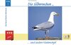 Buchcover Die Silbermöwe und andere Küstenvögel