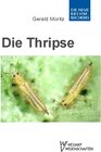 Buchcover Thripse – Fransenflügler, Thysanoptera
