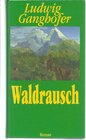 Buchcover Waldrausch.