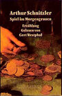 Buchcover Spiel im Morgengrauen