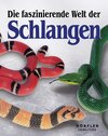 Buchcover Die faszinierende Welt der Schlangen