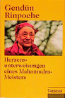 Buchcover Herzensunterweisungen eines Mahamudra-Meisters