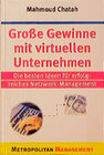 Buchcover Grosse Gewinne mit virtuellen Unternehmen