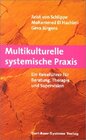 Buchcover Multikulturelle systemische Praxis