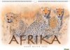 Buchcover Bodo Meier Afrika Kalender 2024