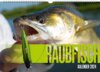 Buchcover RAUBFISCH Kalender 2024