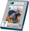 Buchcover Abenteuer Afrika - Teil 1 - JAGEN WELTWEIT DVD Nr. 38