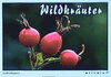 Buchcover Wildkräuter