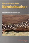 Buchcover Wer weiss was über Harnischwelse