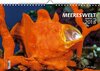 Buchcover Kalender Meereswelt Marine Life 2018