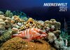 Buchcover Kalender Meereswelt (Marine Life) 2021