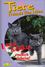 Buchcover Tiere - Freunde fürs Leben / Lena & Nico endlich daheim!