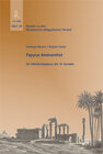 Buchcover Papyrus Amenemhet