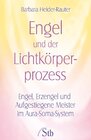 Buchcover Engel und der Lichtkörper-Prozess