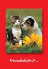 Freundschaft ist... 2003 width=