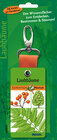 Buchcover Expedition Natur - Laubbäume