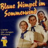 Buchcover Blaue Wimpel im Sommerwind