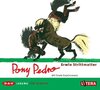Buchcover Pony Pedro