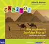 Buchcover CAPITO! Was prophezeite Josef dem Pharao?