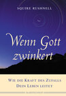 Buchcover Wenn Gott zwinkert