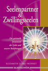 Buchcover Seelenpartner & Zwillingsseelen
