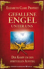 Buchcover Gefallene Engel - Der Kampf um den spirituellen Aufstieg